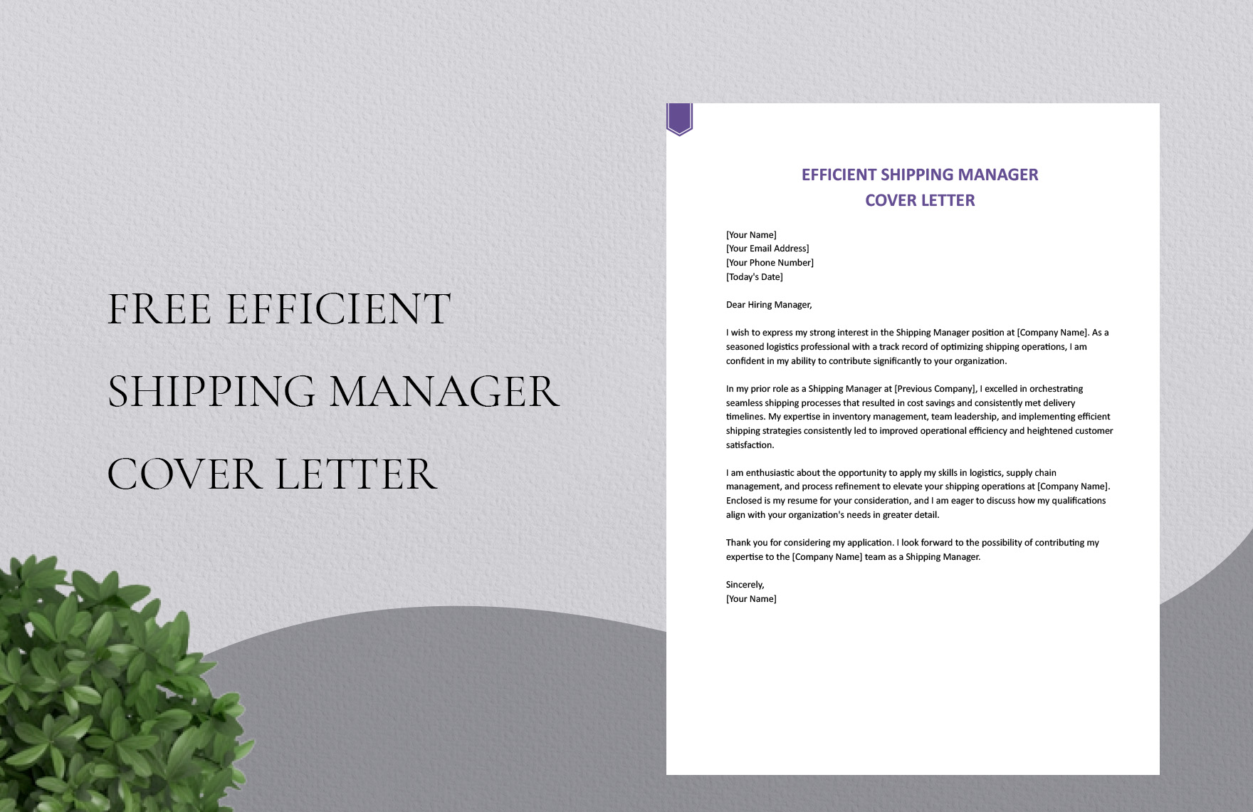 Efficient Shipping Manager Cover Letter