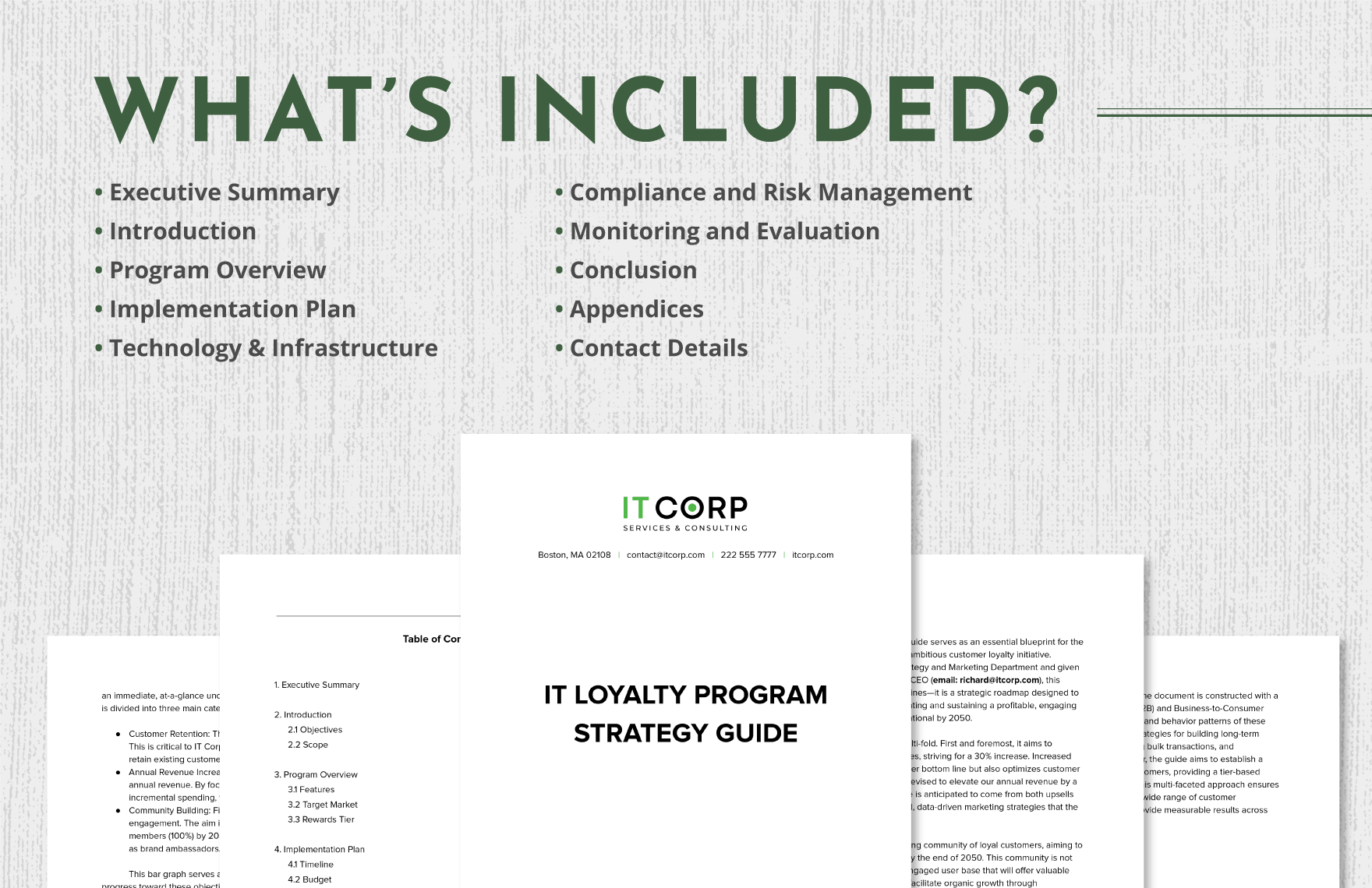 IT Loyalty Program Strategy Guide Template