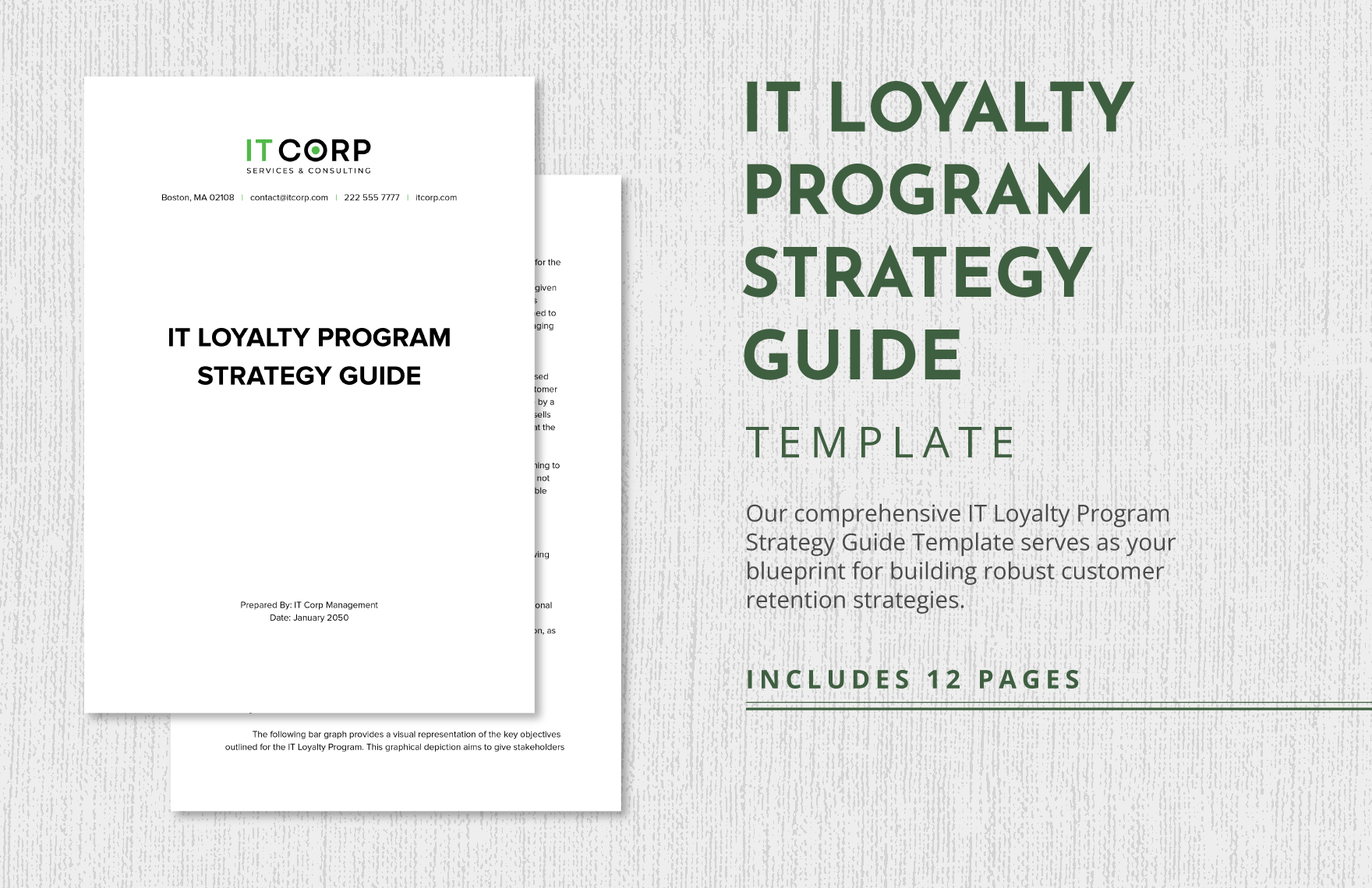 IT Loyalty Program Strategy Guide Template