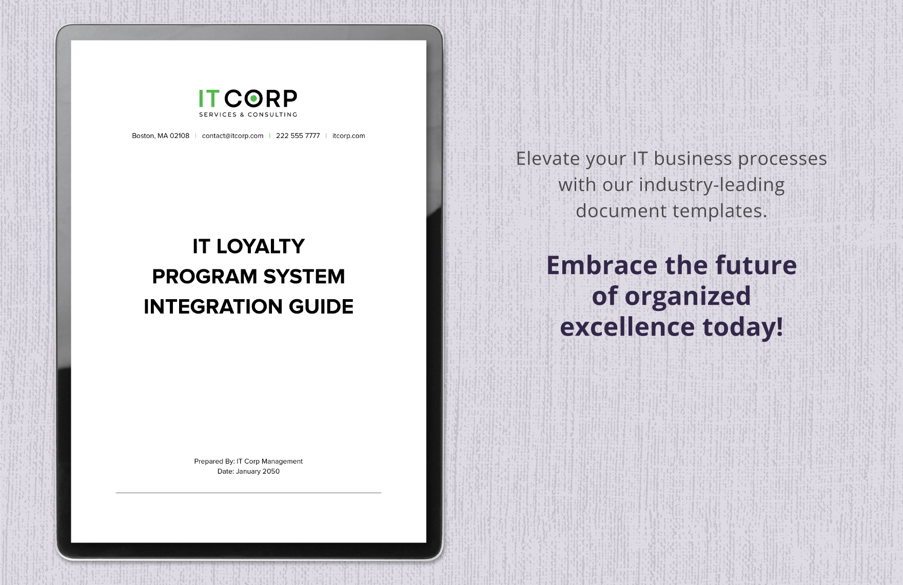 IT Loyalty Program System Integration Guide Template