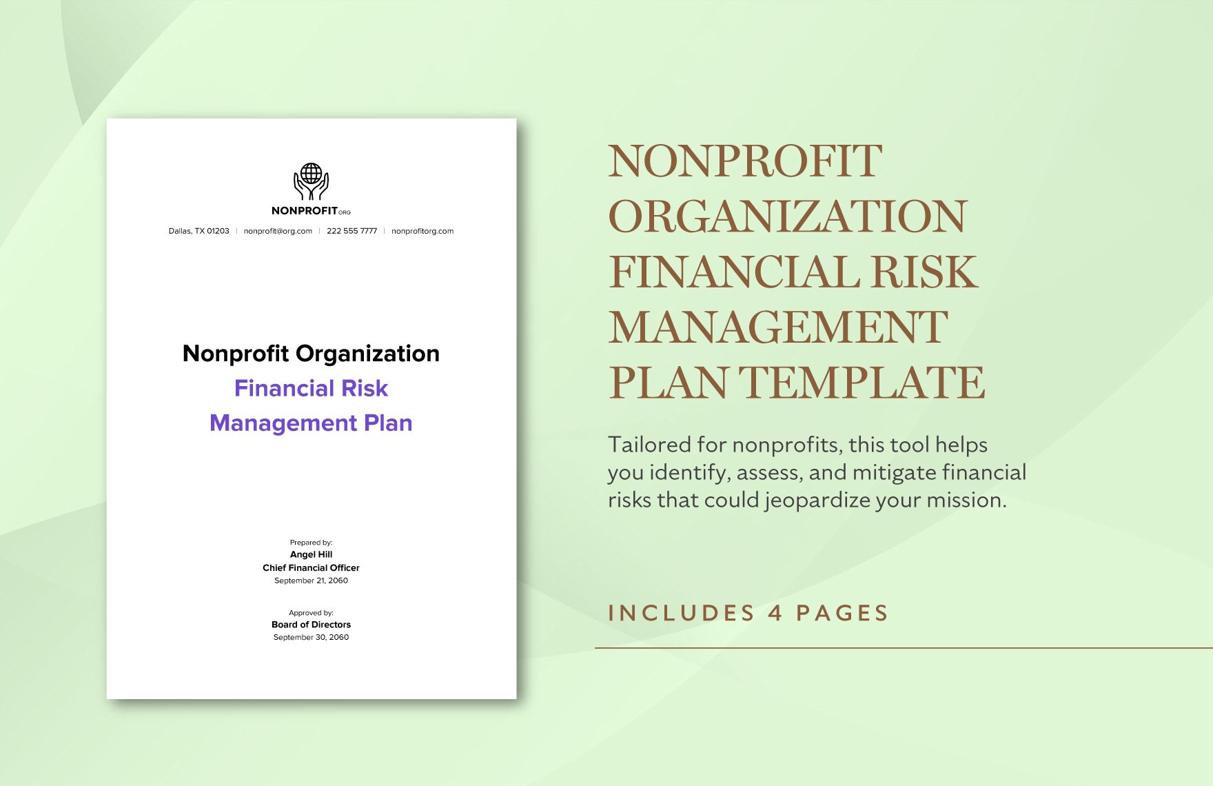 Nonprofit Organization Financial Risk Management Plan Template