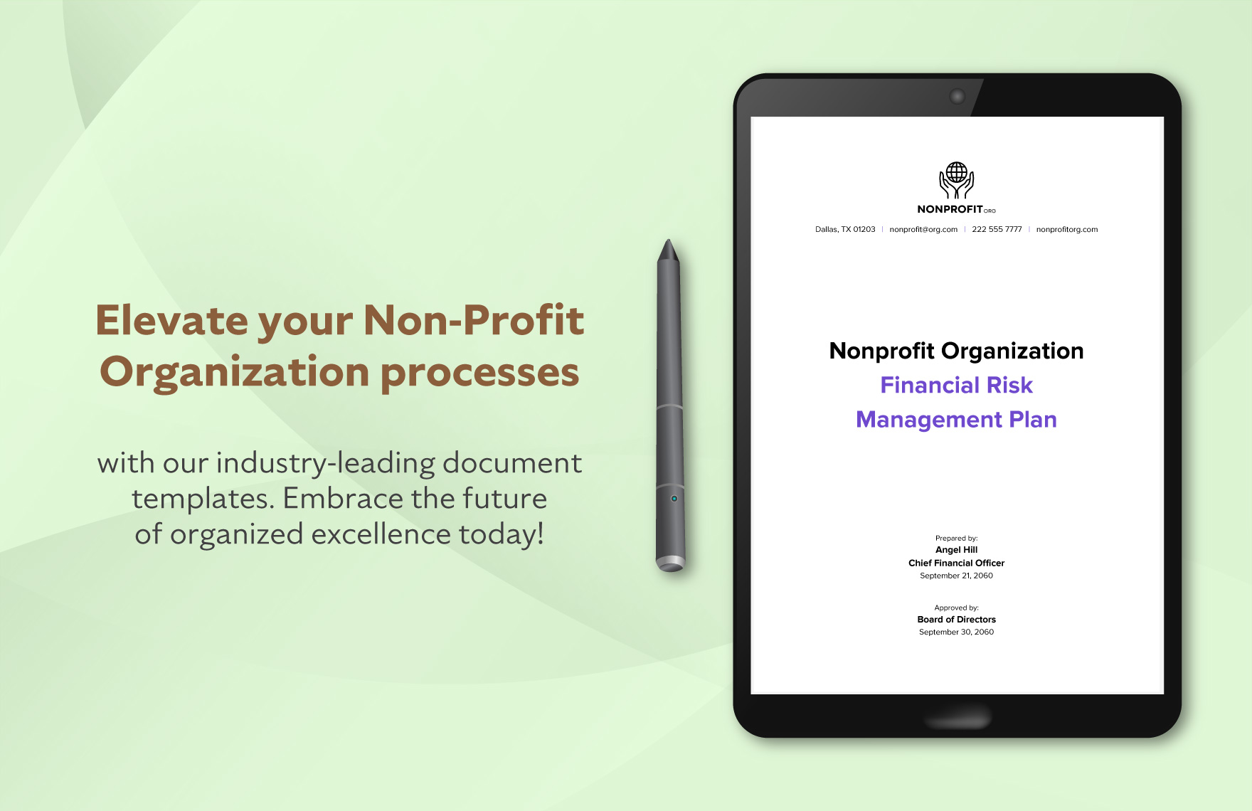Nonprofit Organization Financial Risk Management Plan Template