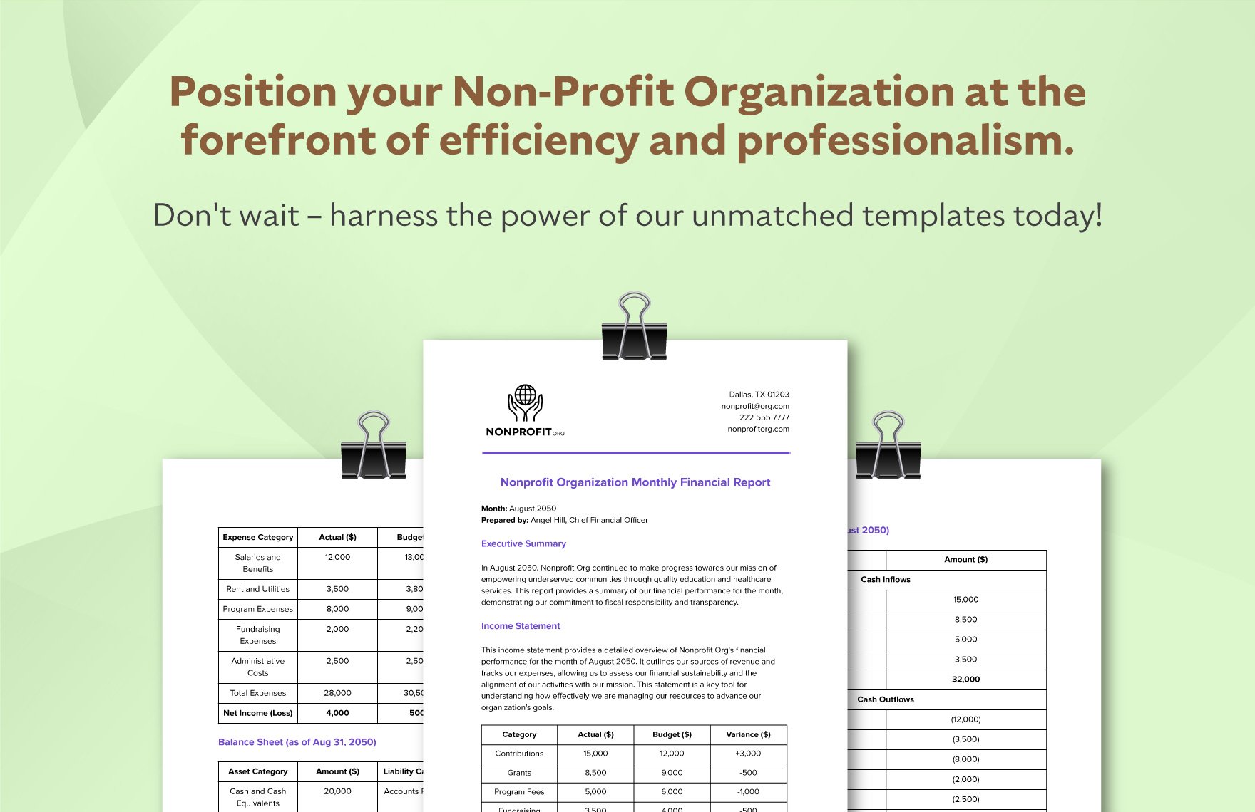 Nonprofit Organization Monthly Financial Report Template