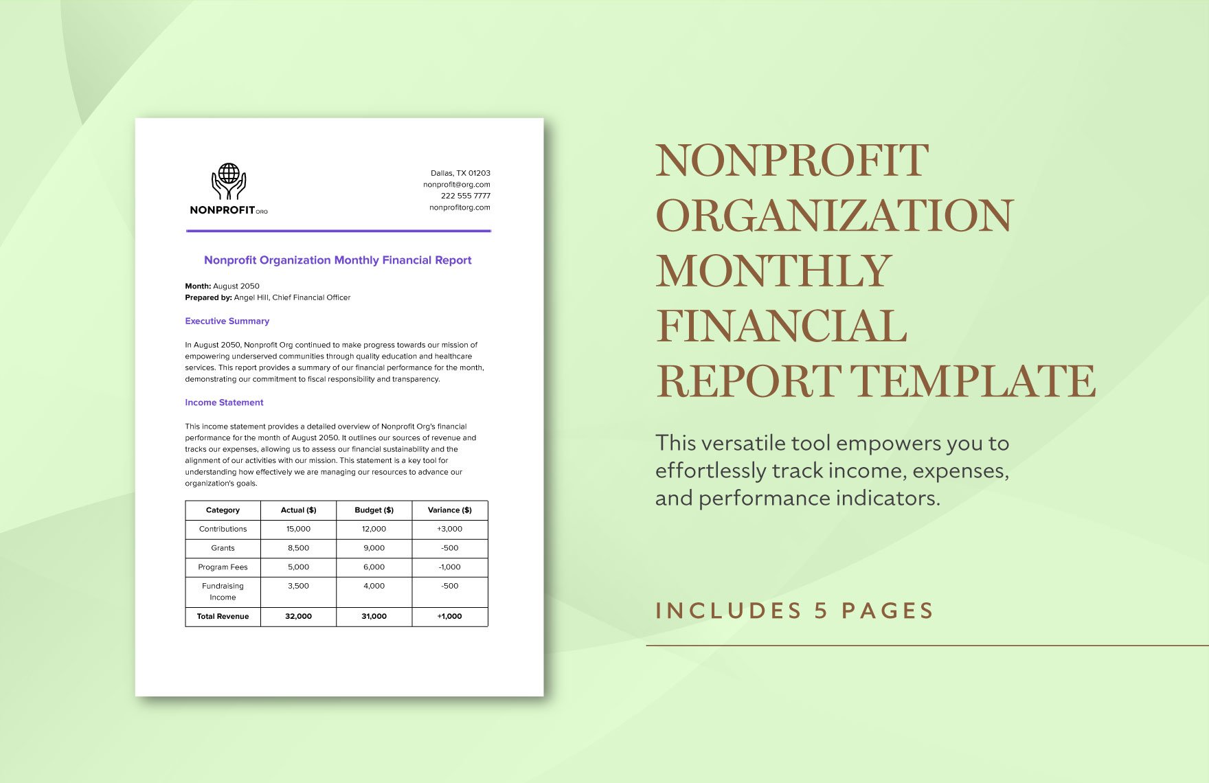 Nonprofit Organization Monthly Financial Report Template
