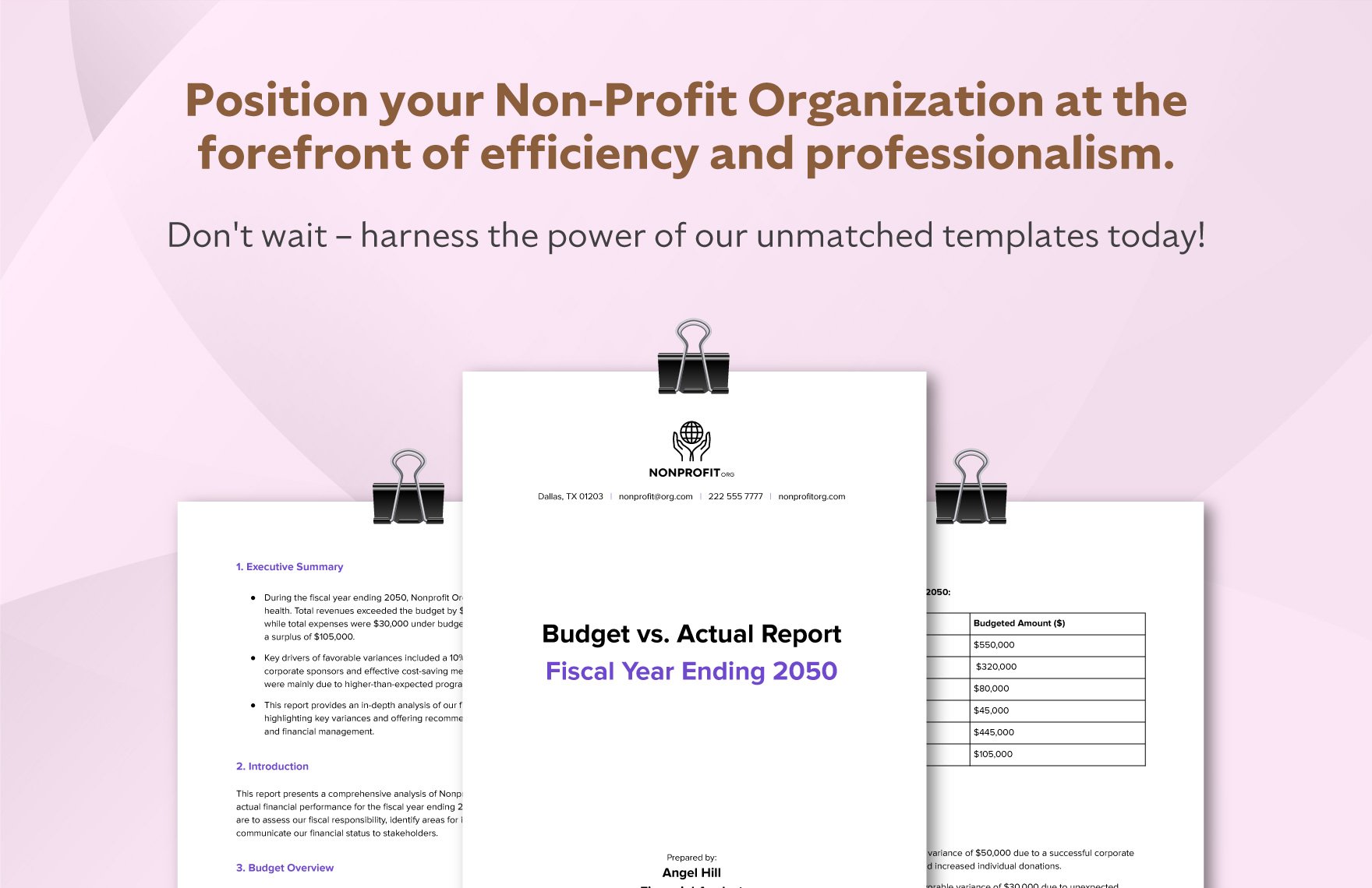 Nonprofit Organization Budget vs Actual Report Template