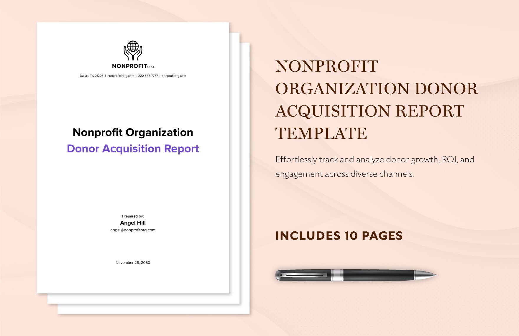 Nonprofit Organization Donor Acquisition Report Template