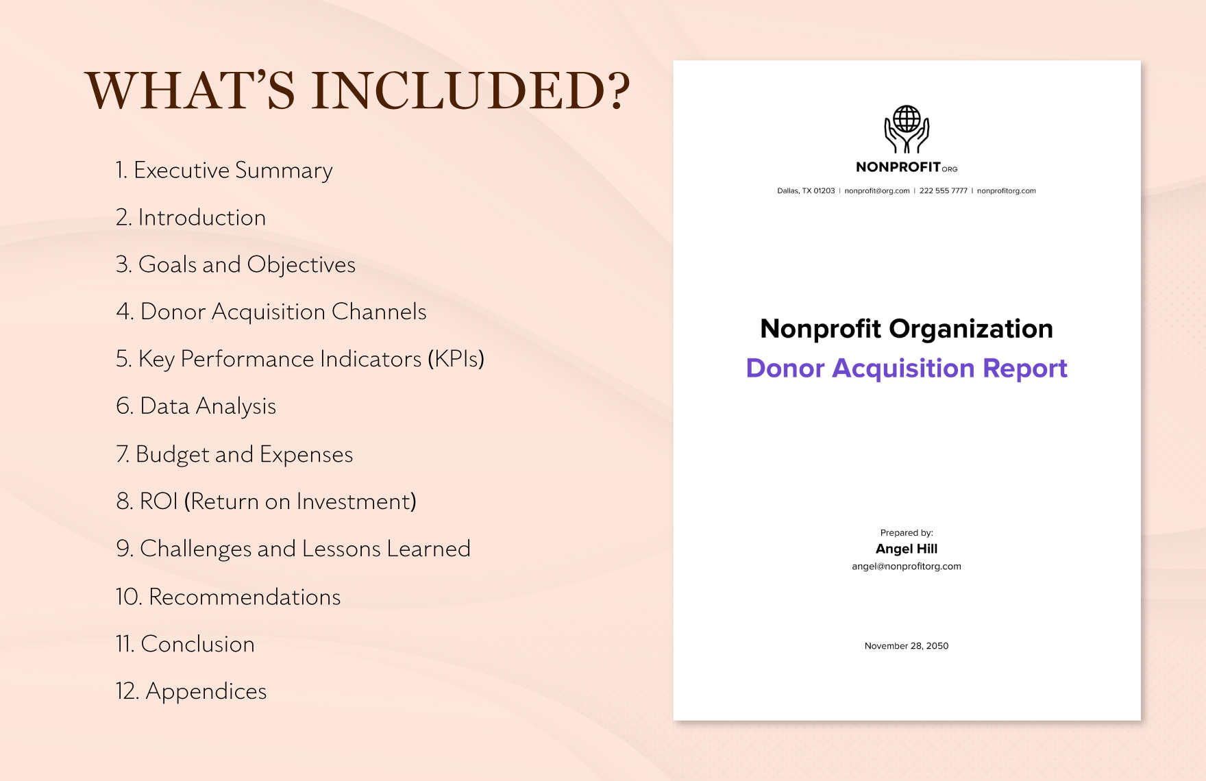 Nonprofit Organization Donor Acquisition Report Template