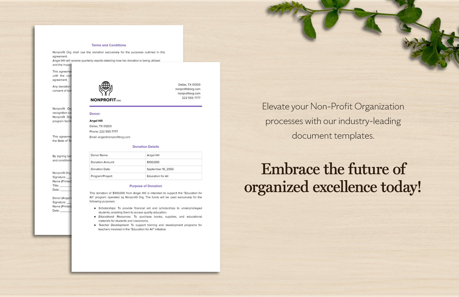 Nonprofit Organization Donor Agreement Form Template