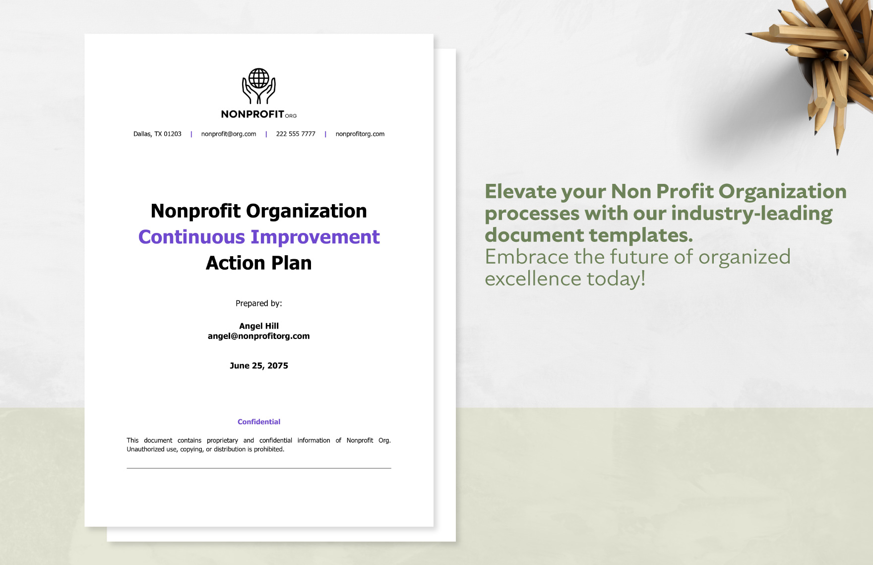 Nonprofit Organization Continuous Improvement Action Plan Template