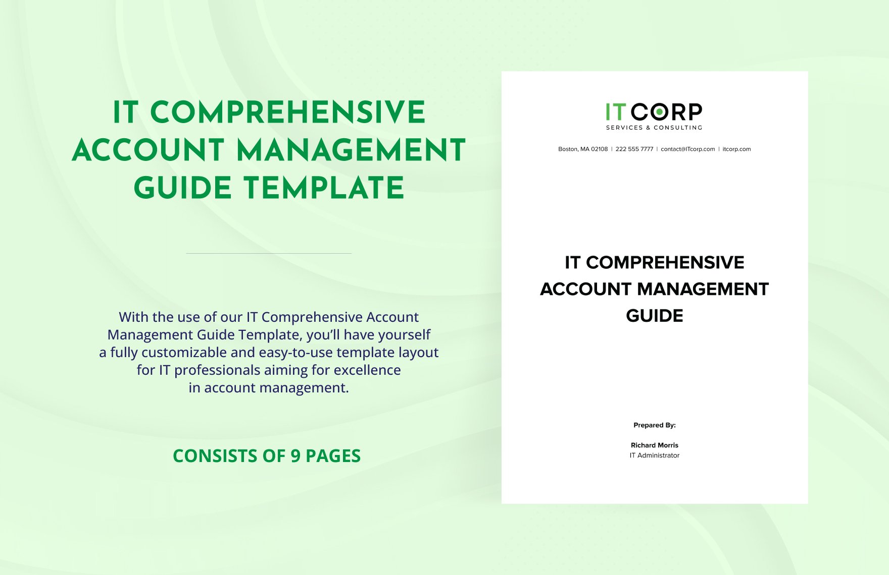 IT Comprehensive Account Management Guide Template
