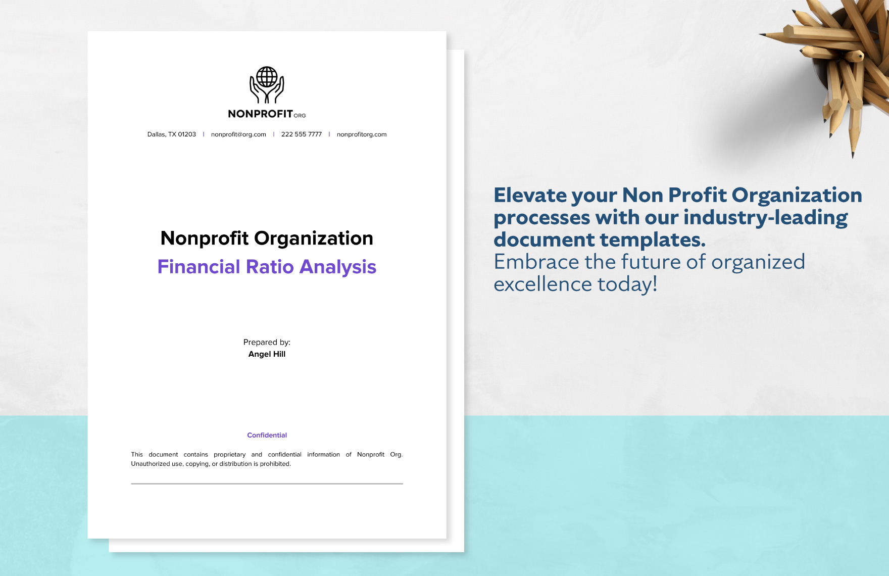 Nonprofit Organization Financial Ratio Analysis Template