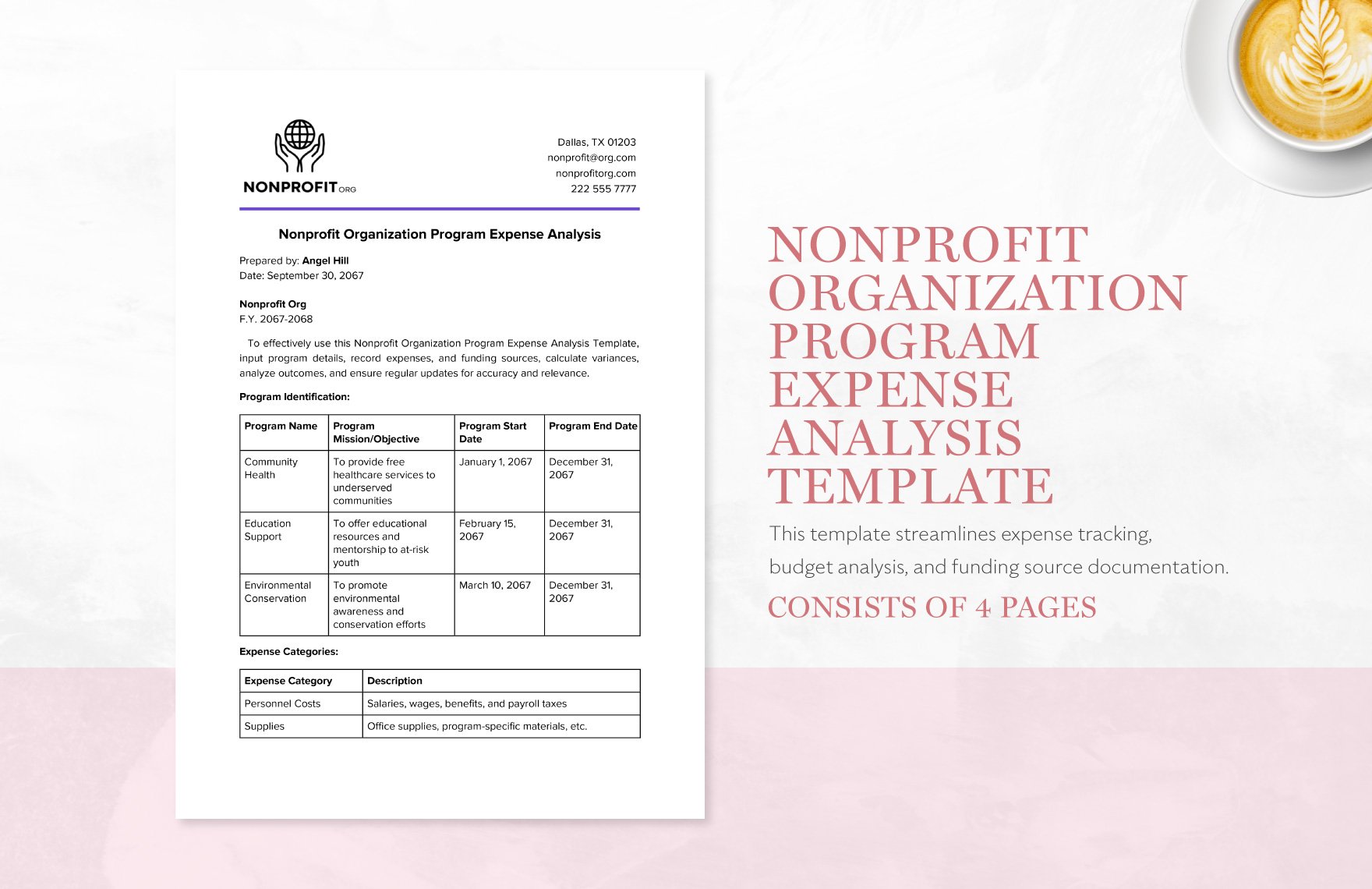 Nonprofit Organization Program Expense Analysis Template