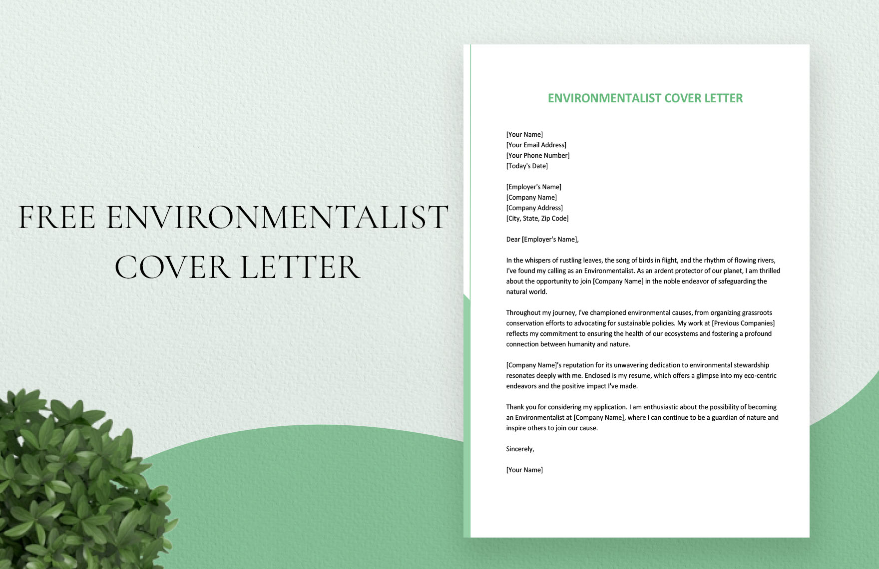 Environmentalist Cover Letter in Word, Google Docs