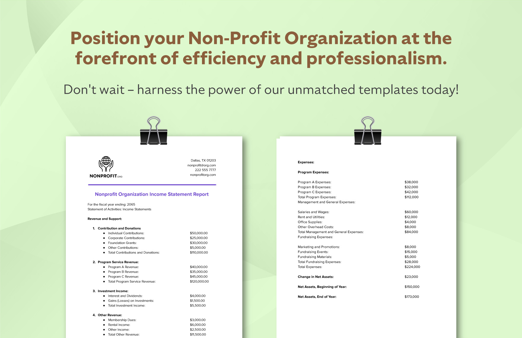 Nonprofit Organization Income Statement Report Template