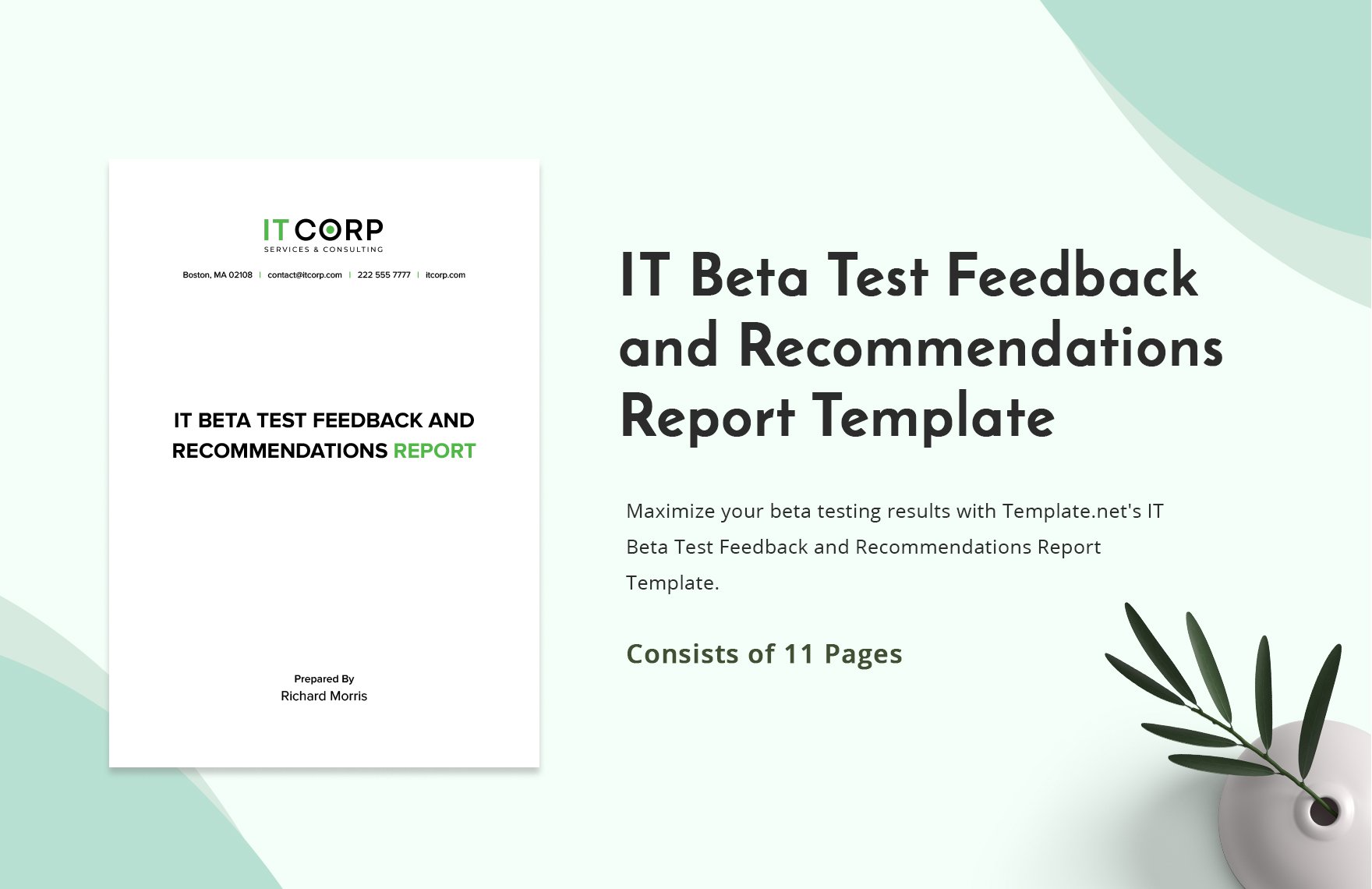 IT Beta Test Feedback and Recommendations Report Template
