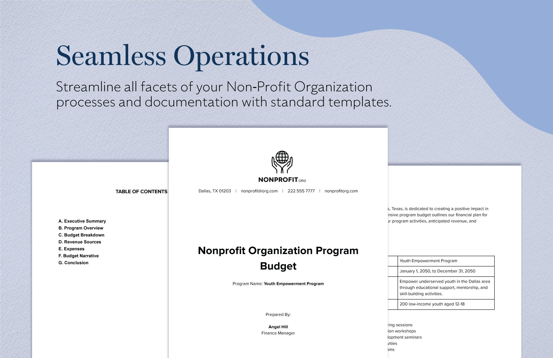 Nonprofit Organization Program Budget Template