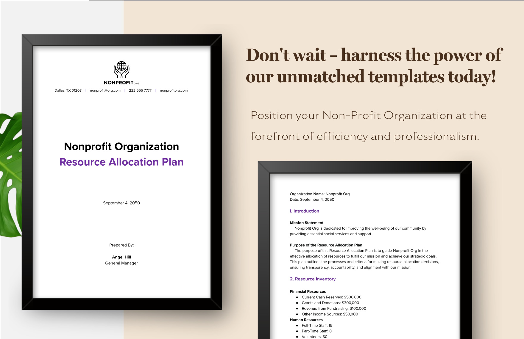 Nonprofit Organization Resource Allocation Plan Template