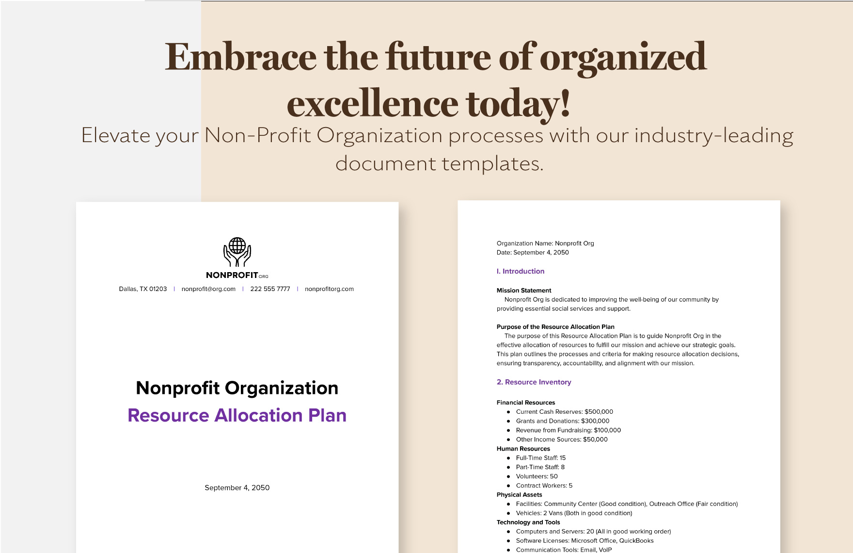 Nonprofit Organization Resource Allocation Plan Template