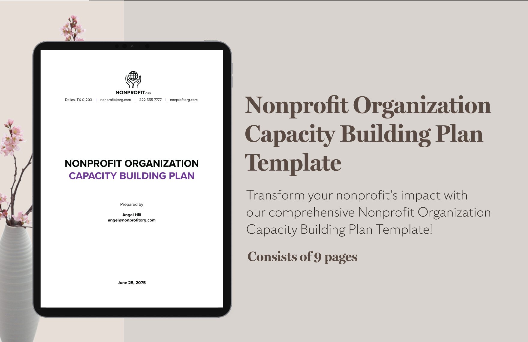 Nonprofit Organization Capacity Building Plan Template