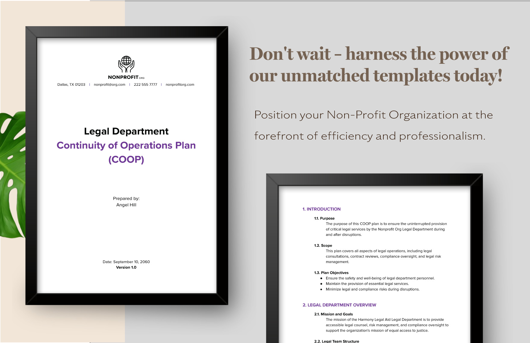 Nonprofit Organization Continuity of Operations Plan Template