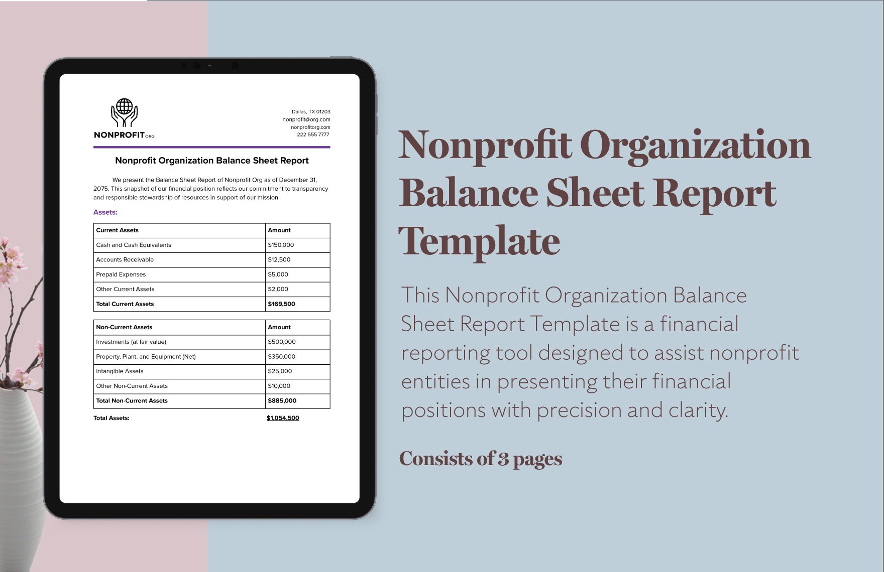 Nonprofit Organization Balance Sheet Report Template in Word, Google Docs, PDF