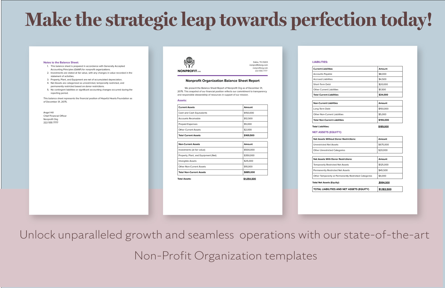 Nonprofit Organization Balance Sheet Report Template