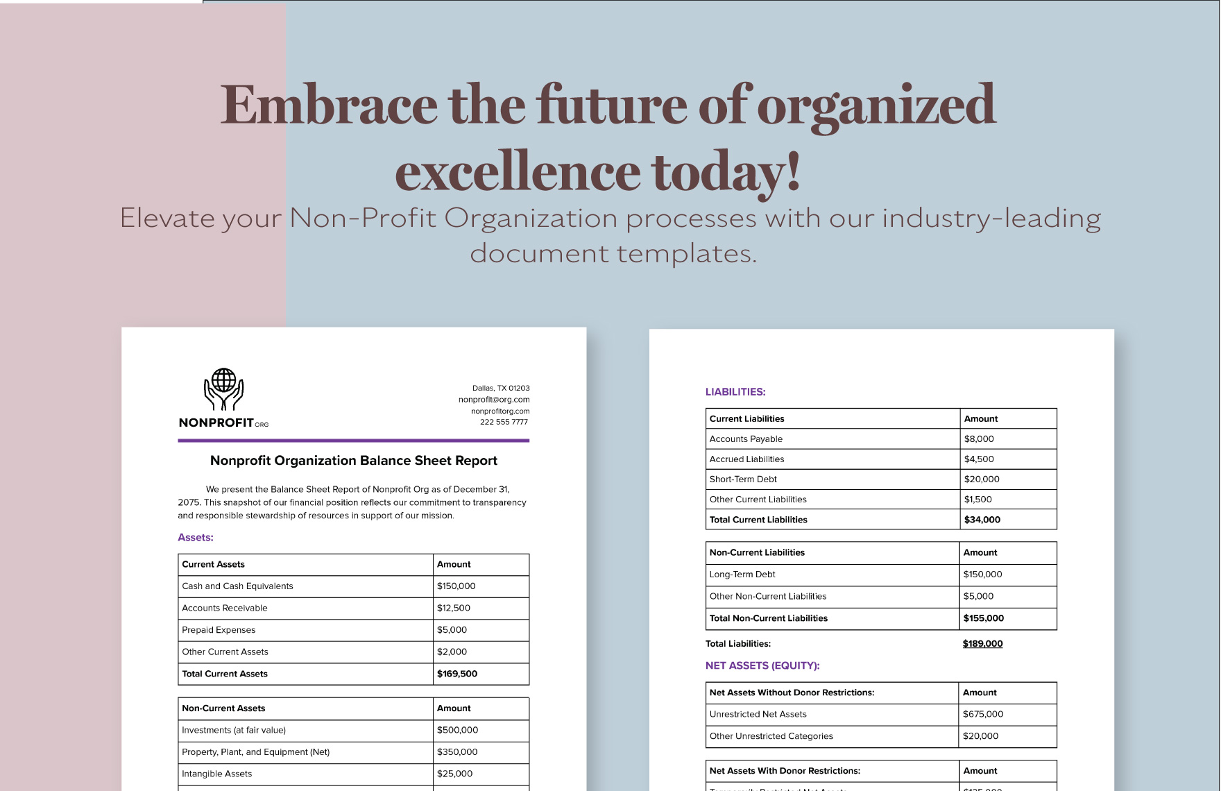 Nonprofit Organization Balance Sheet Report Template