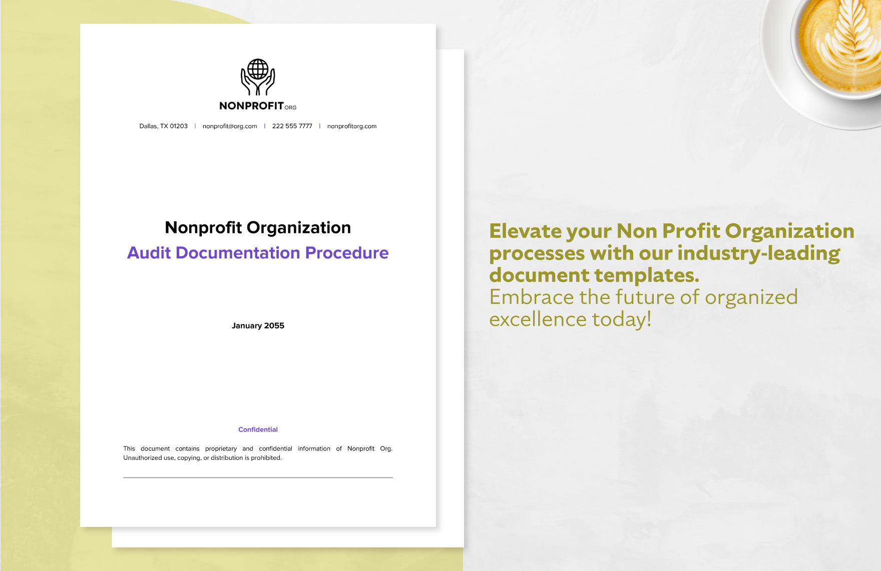 Nonprofit Organization Audit Documentation Procedure Template