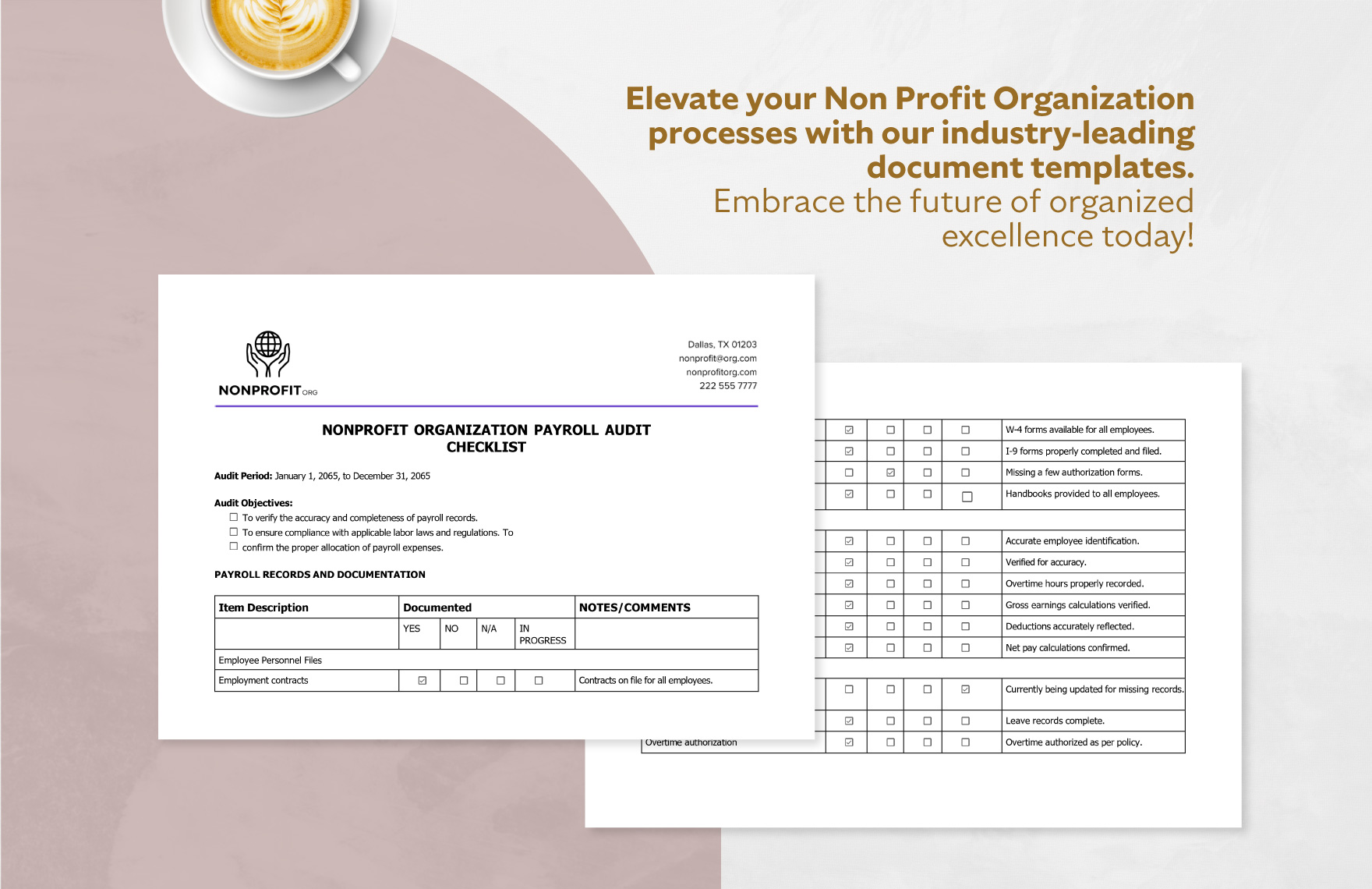 Nonprofit Organization Payroll Audit Checklist Template
