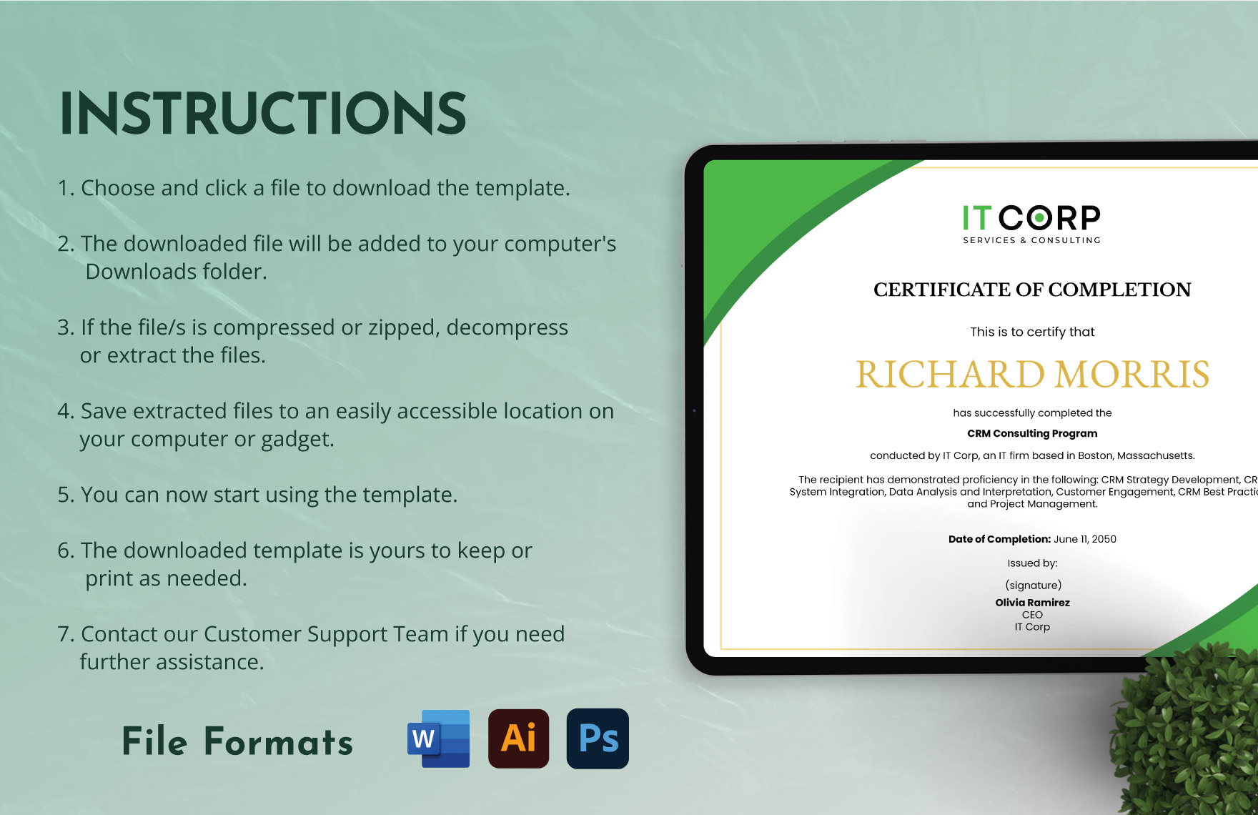 IT CRM Consulting Certificate Template