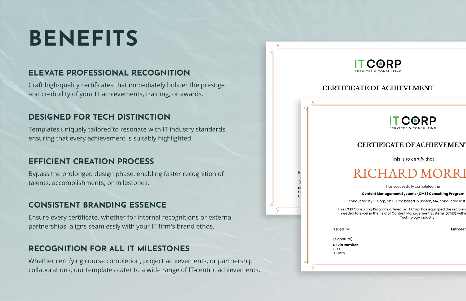 IT Content Management Systems (CMS) Consulting Certificate Template