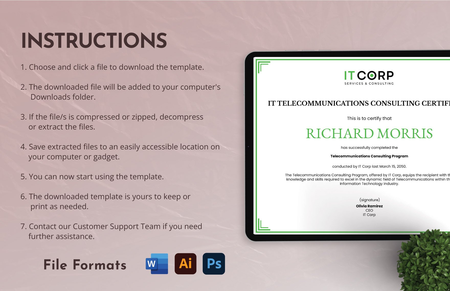 IT Telecommunications Consulting Certificate Template