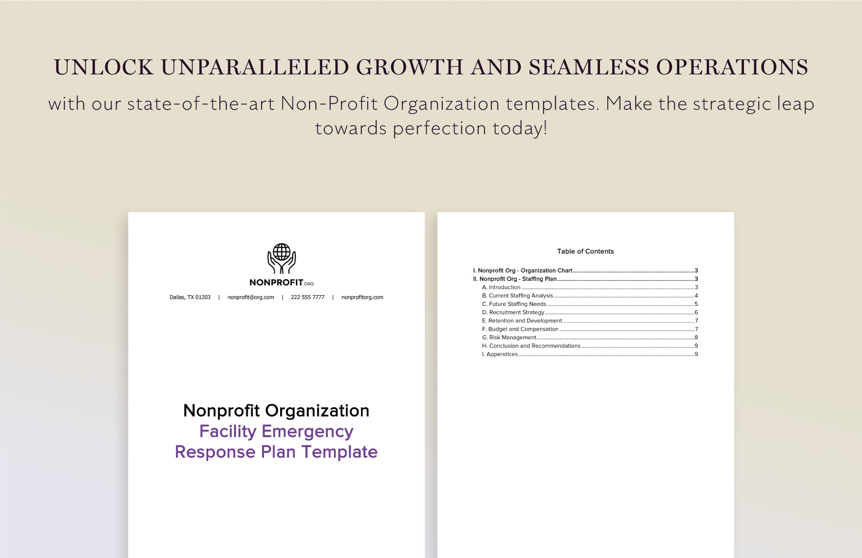 Nonprofit Organization Chart and Staffing Plan Template
