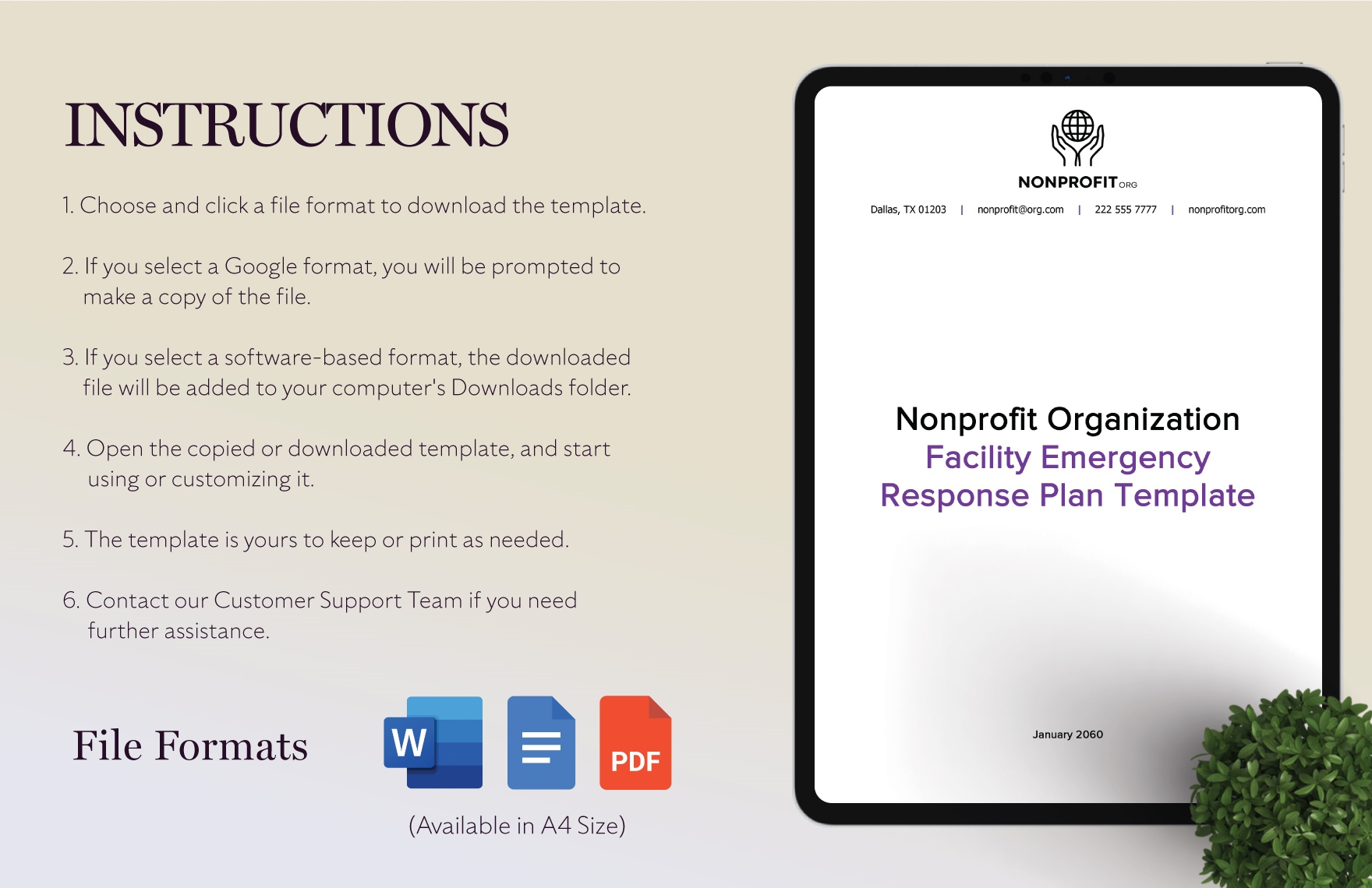 Nonprofit Organization Chart and Staffing Plan Template