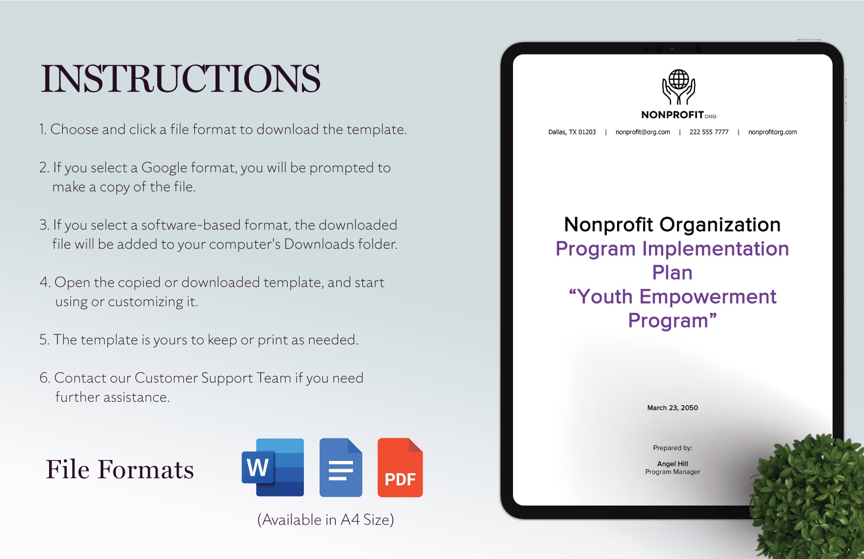 Nonprofit Organization Program Implementation Plan Template