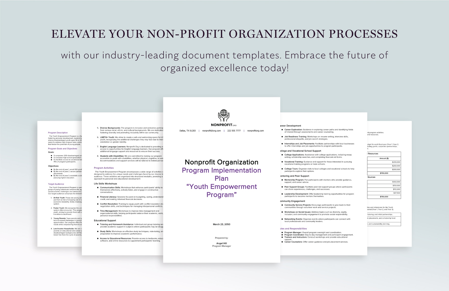 Nonprofit Organization Program Implementation Plan Template