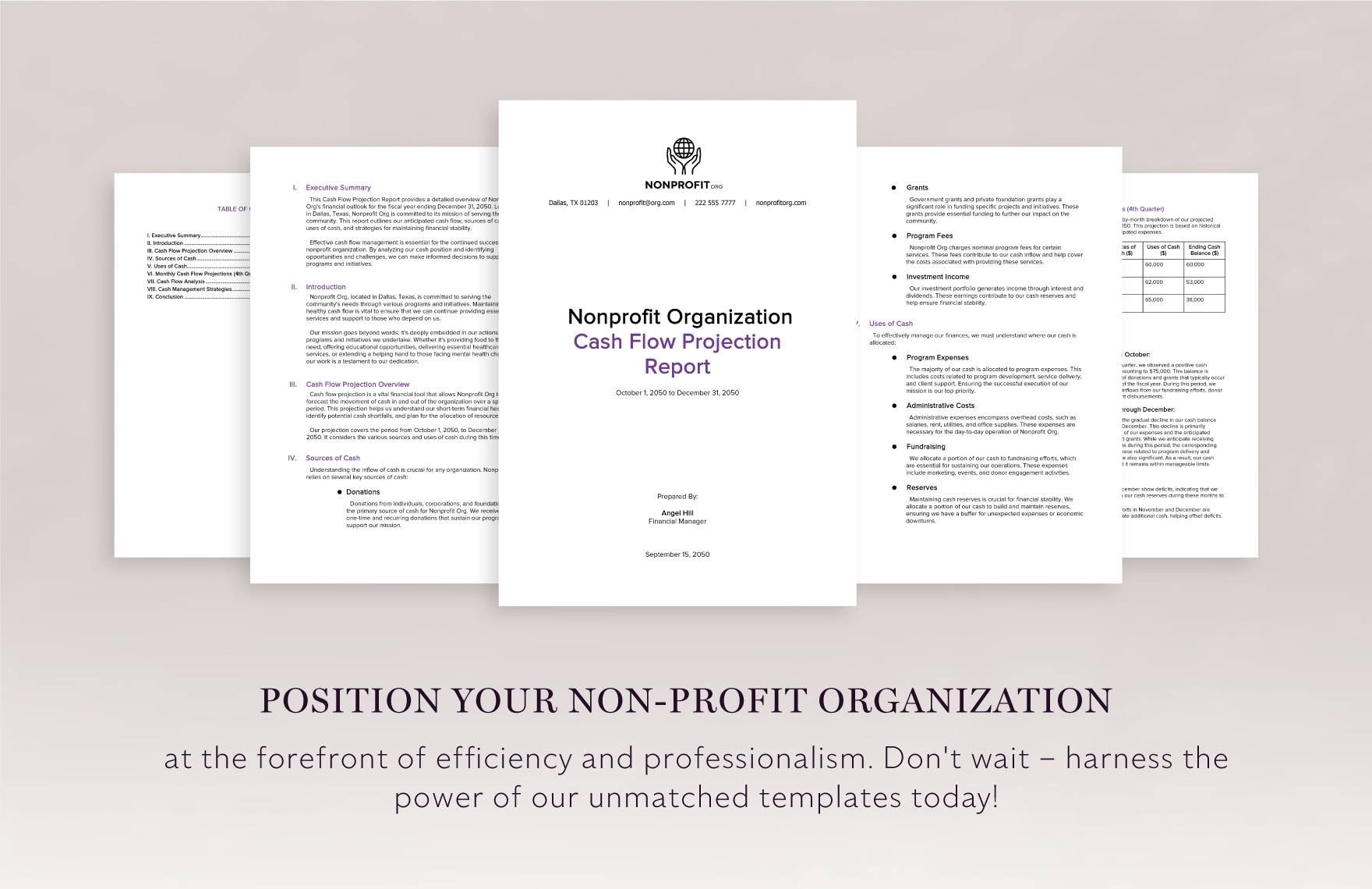 Nonprofit Organization Cash Flow Projection Report Template