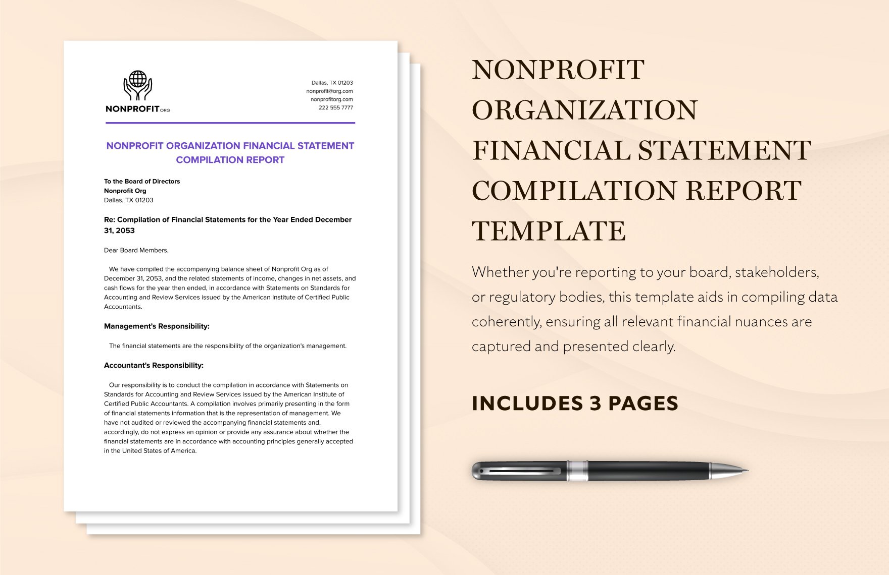 Nonprofit Organization Financial Statement Compilation Report Template
