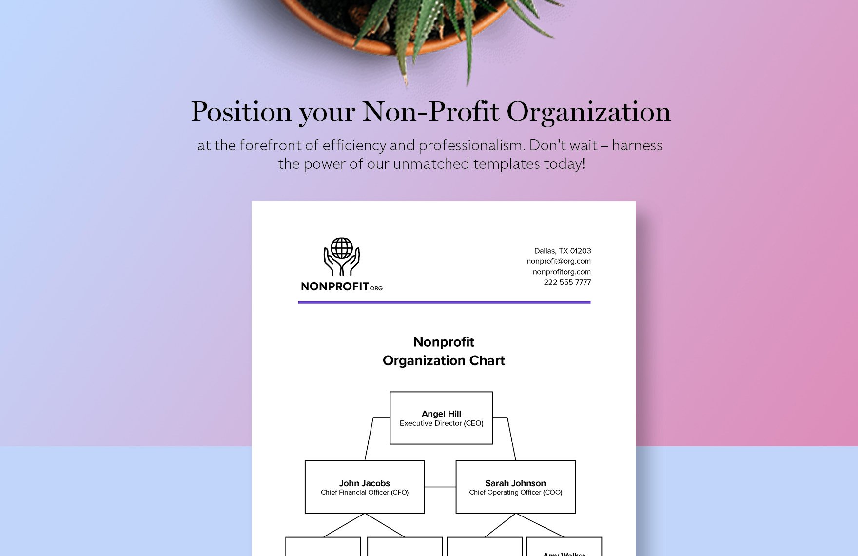 Nonprofit Organization Chart Template