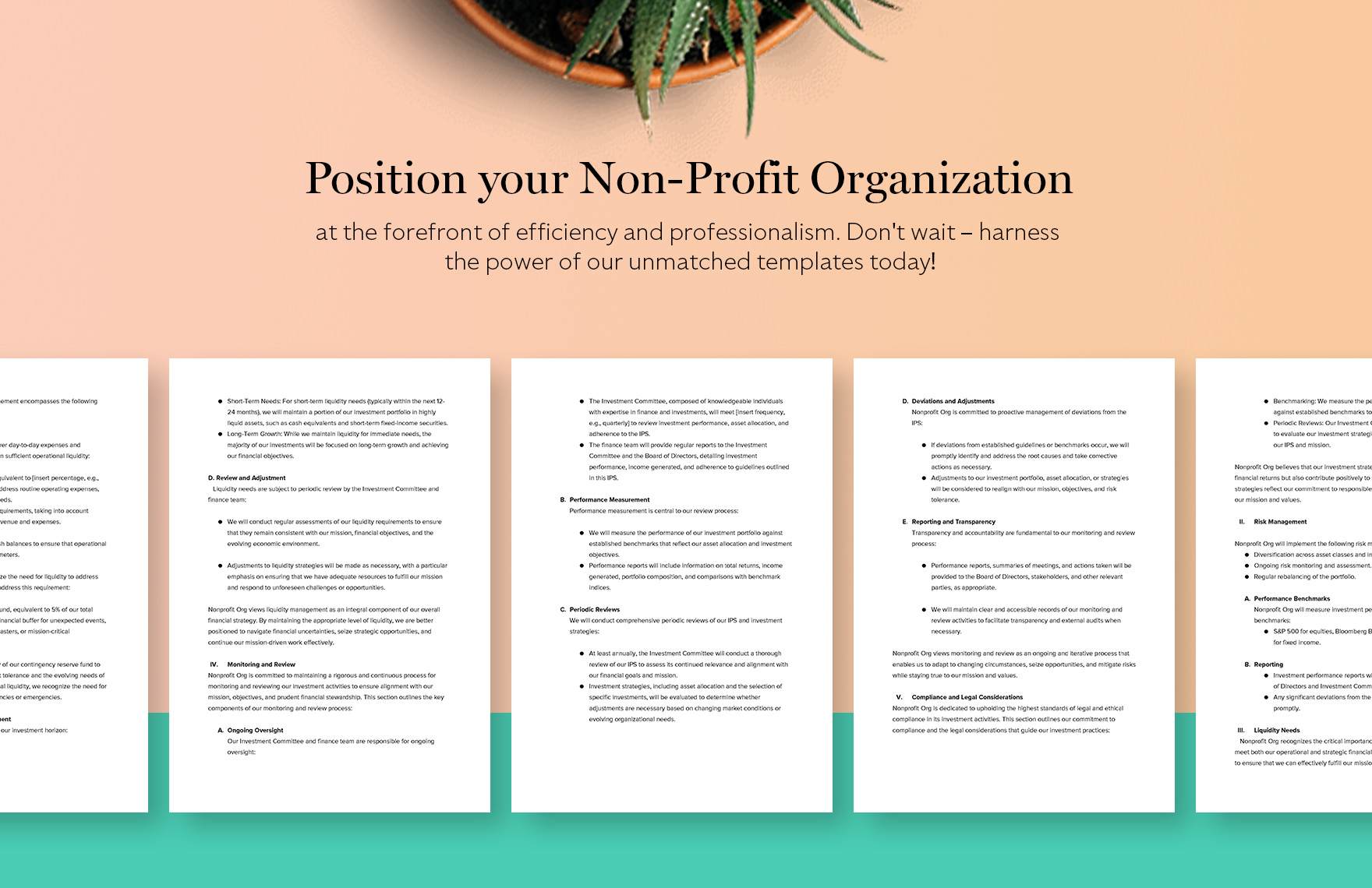 Nonprofit Organization Investment Policy Statement Template