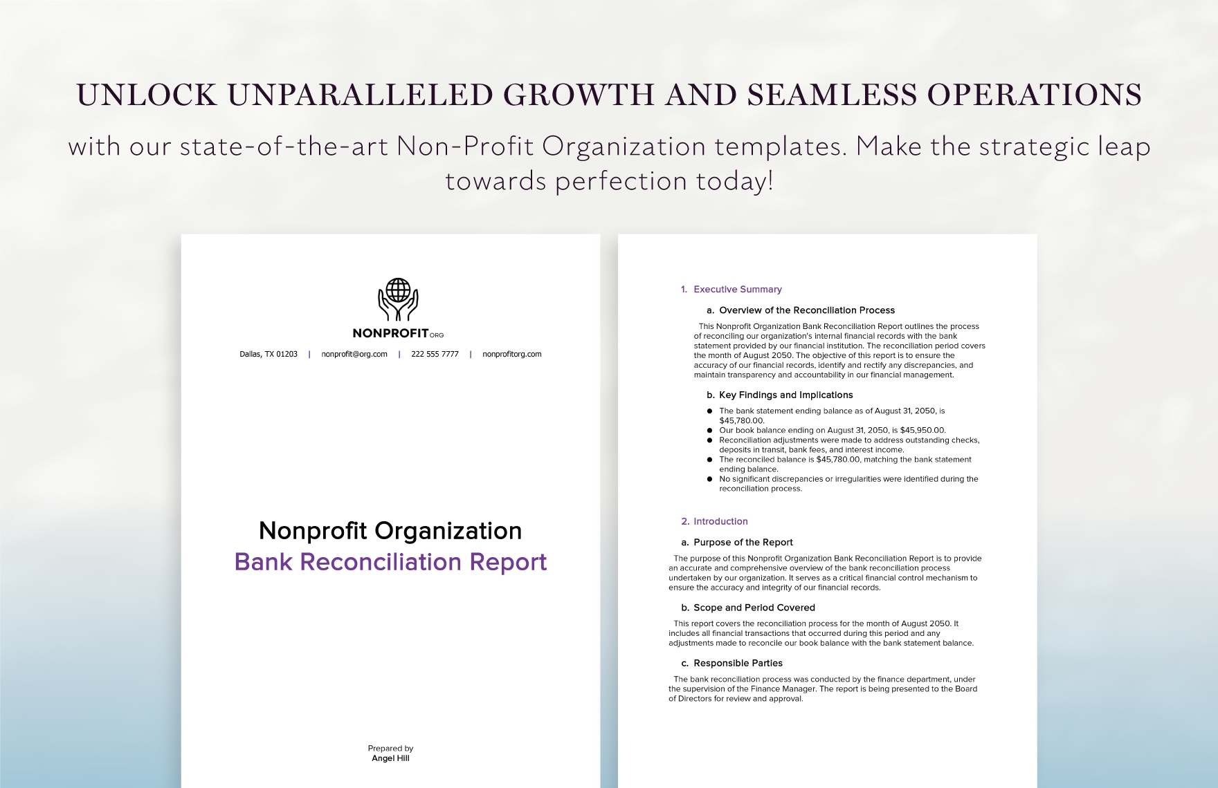 Nonprofit Organization Bank Reconciliation Report Template