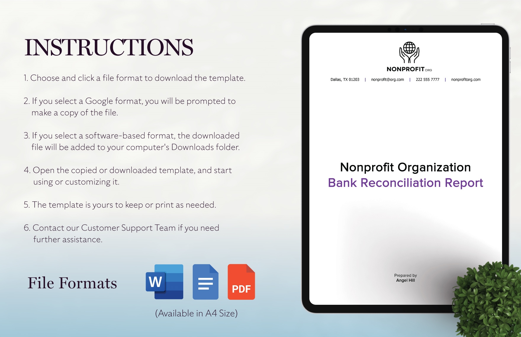 Nonprofit Organization Bank Reconciliation Report Template