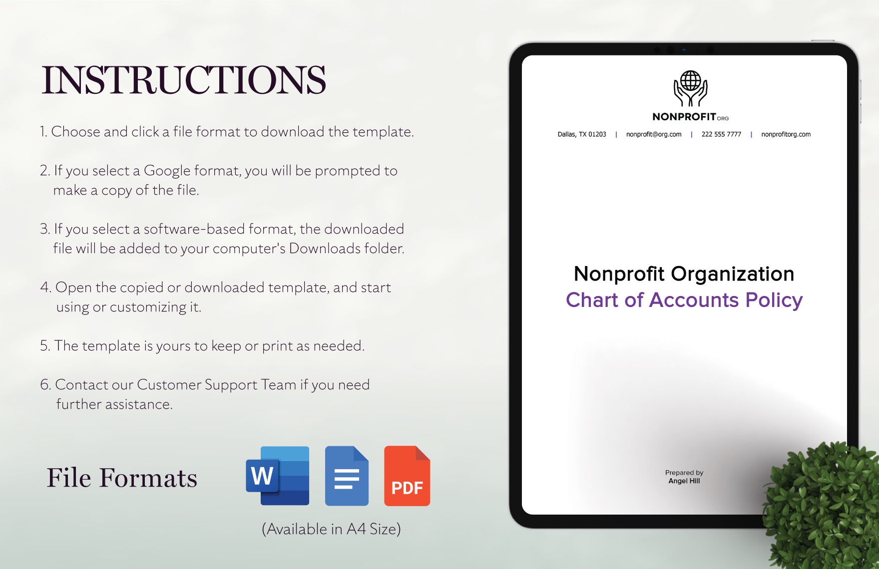Nonprofit Organization Chart of Accounts Policy Template