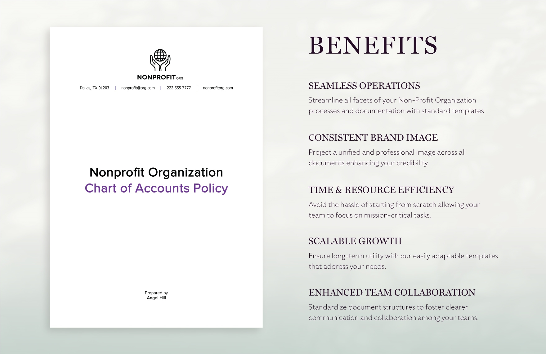 Nonprofit Organization Chart of Accounts Policy Template