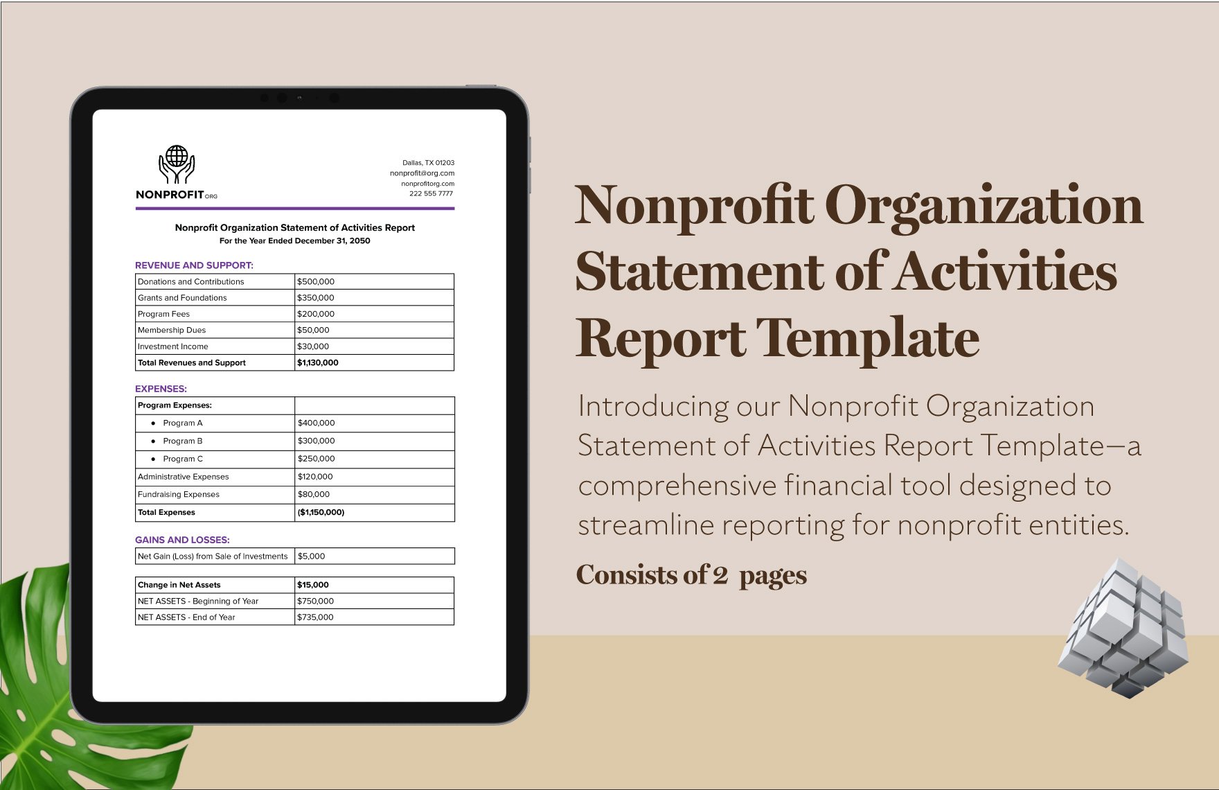 Nonprofit Organization Statement of Activities Report Template