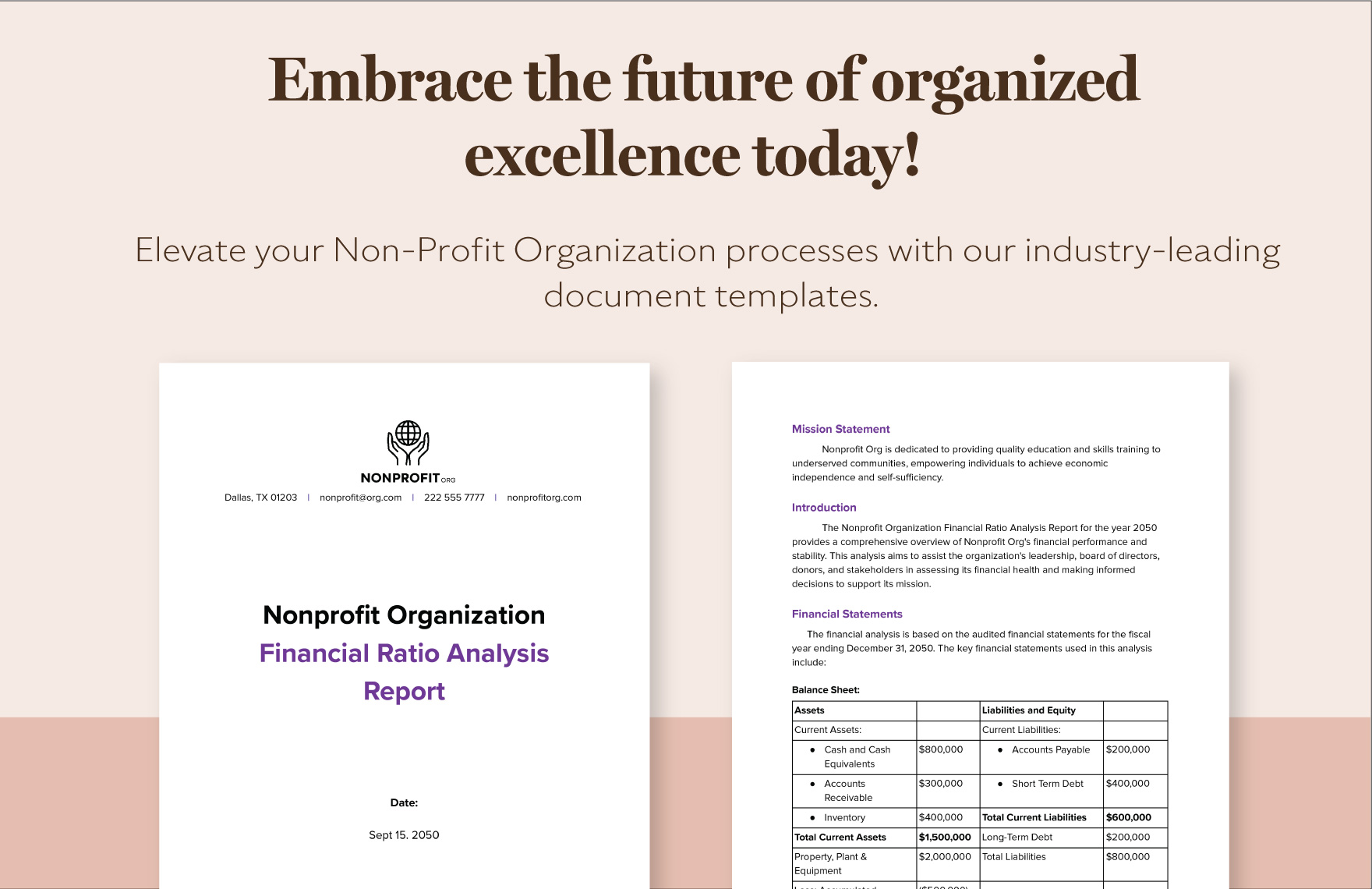Nonprofit Organization Financial Ratio Analysis Report Template