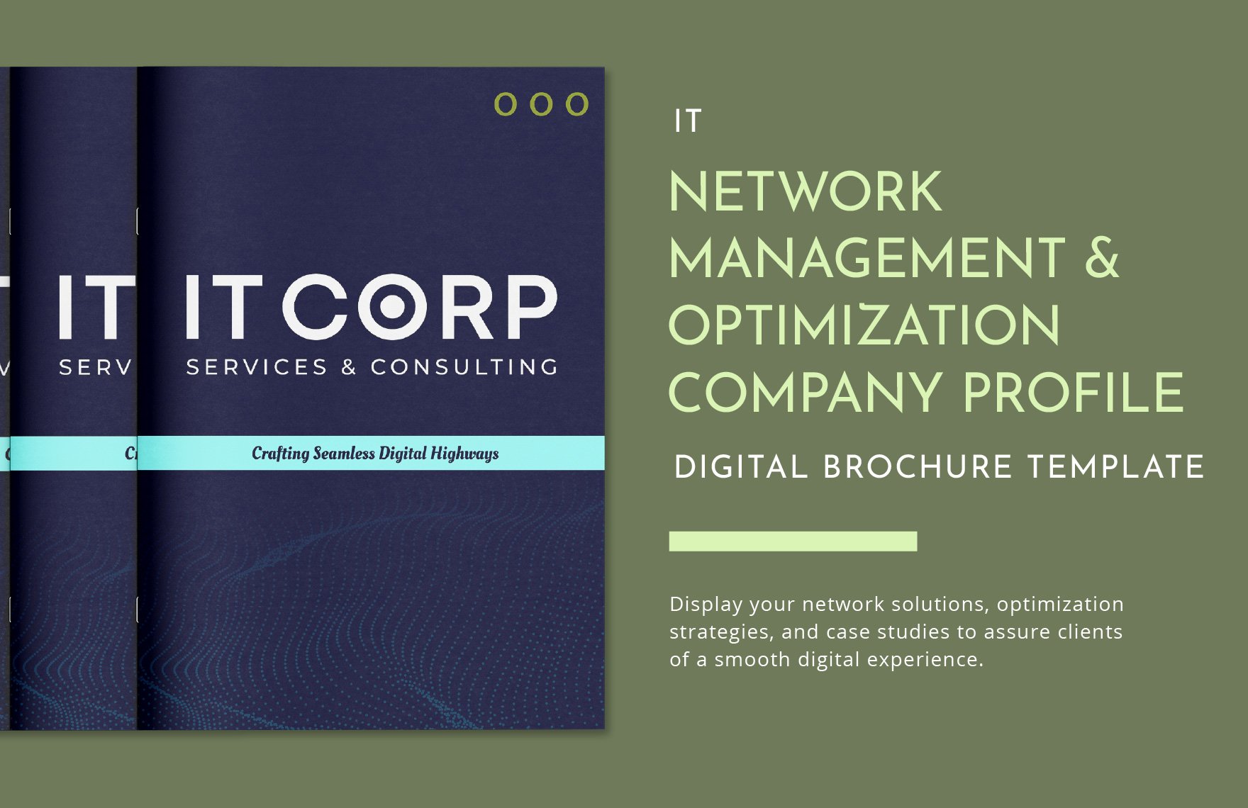 IT Network Management & Optimization Company Profile Digital Brochure Template