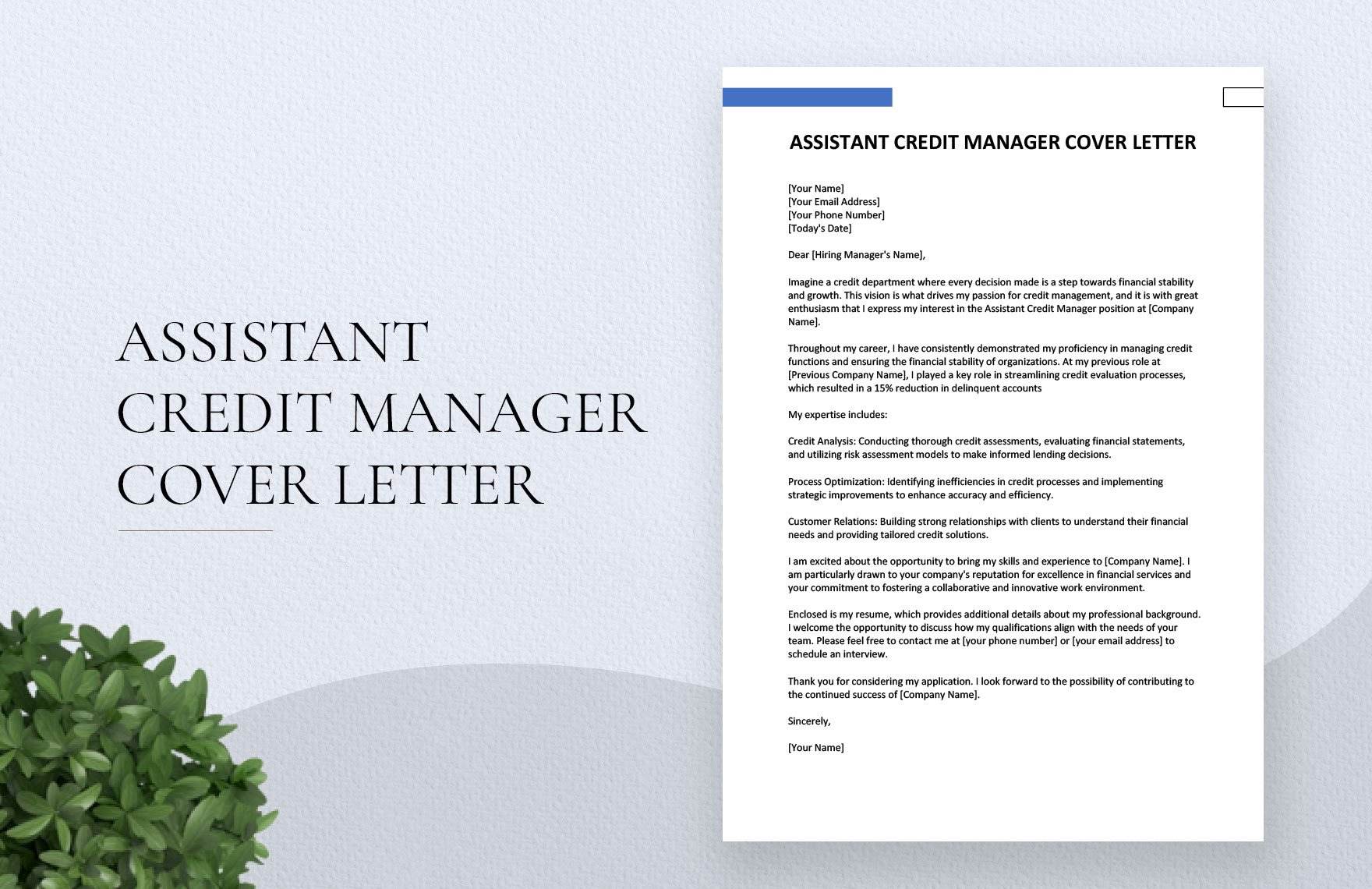Assistant Credit Manager Cover Letter