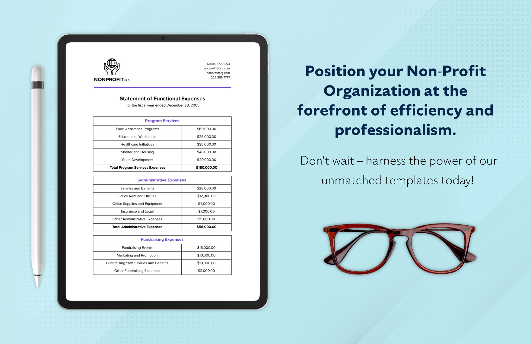 Nonprofit Organization Statement of Functional Expenses Template