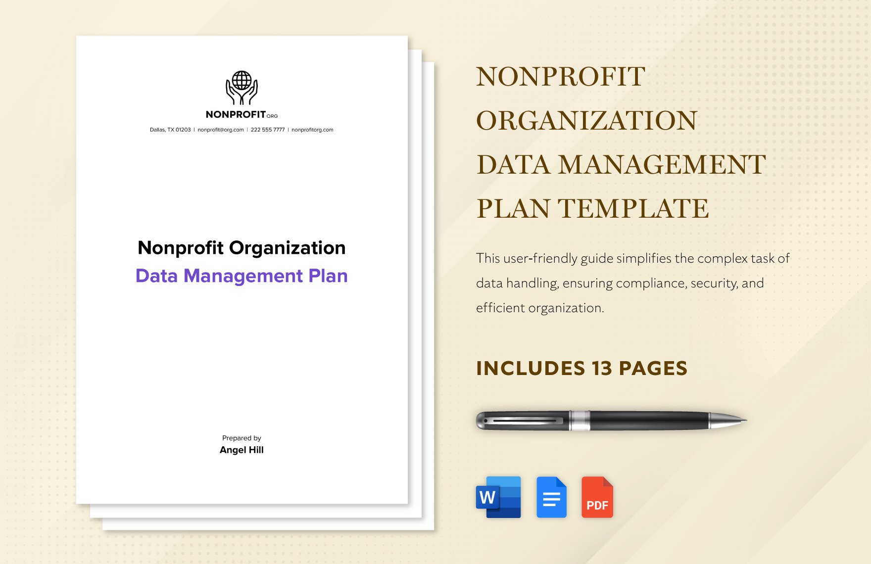 Nonprofit Organization Data Management Plan Template
